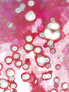 Abstract Bubbles in Pink and Red